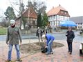 Pflanzen des Dorfbaums (3)