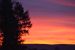 Betina Behring-Niehoff - Abendstimmung 