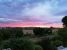 Viola Koitsch - Abendstimmung im Sommer 